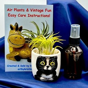 Mini CAT Planter Air Plant Set - Spanish Moss Fine Mist Sprayer FREE Air Plant